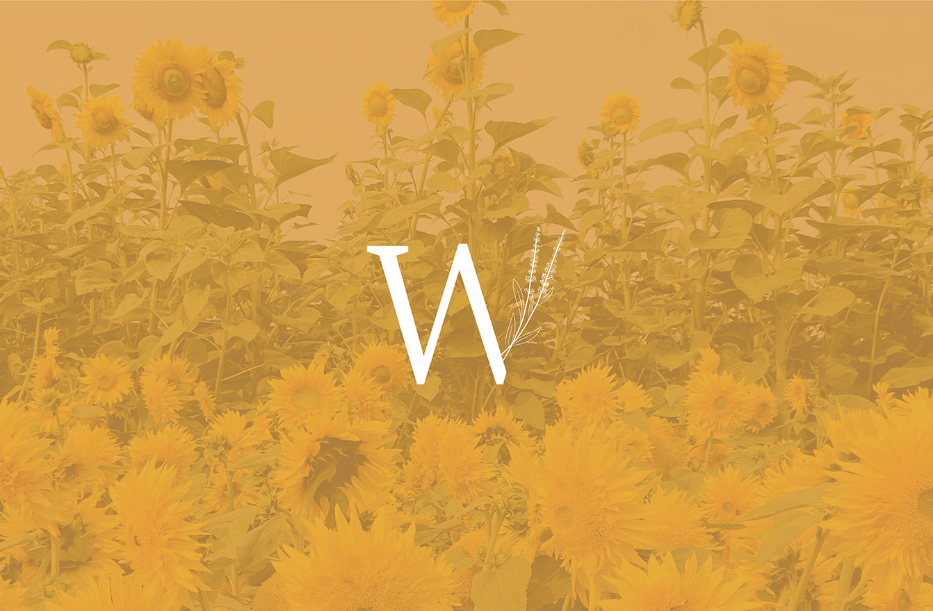 Wildflower Counselling simple logo – by White Canvas Design