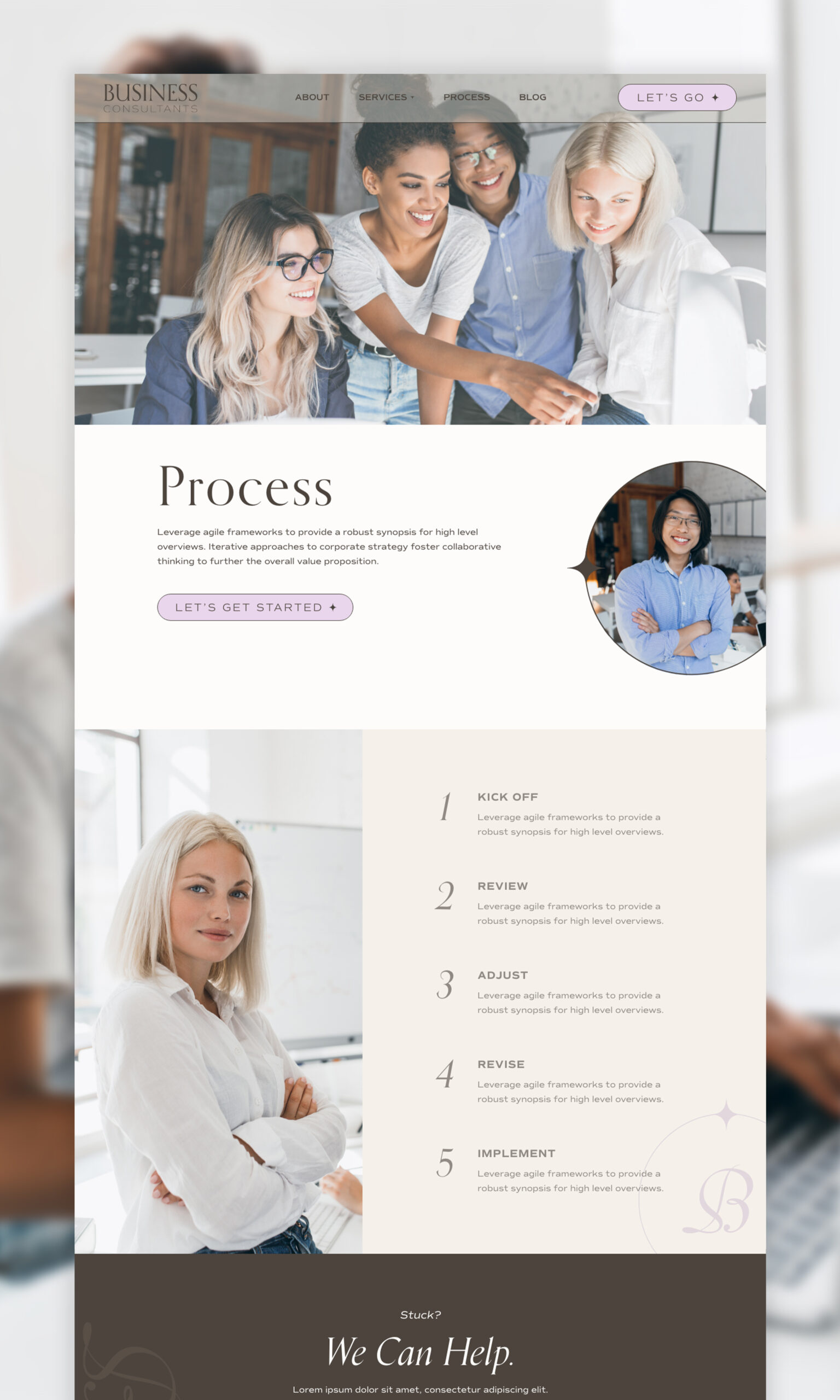 White Canvas designed themes, Consulting theme process page