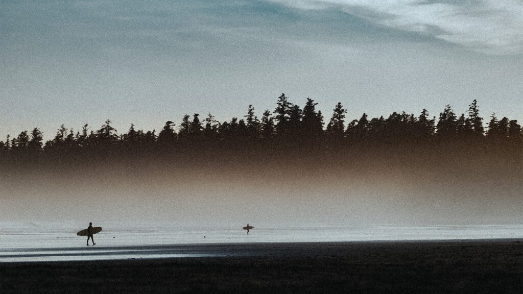 View of trees on a beach