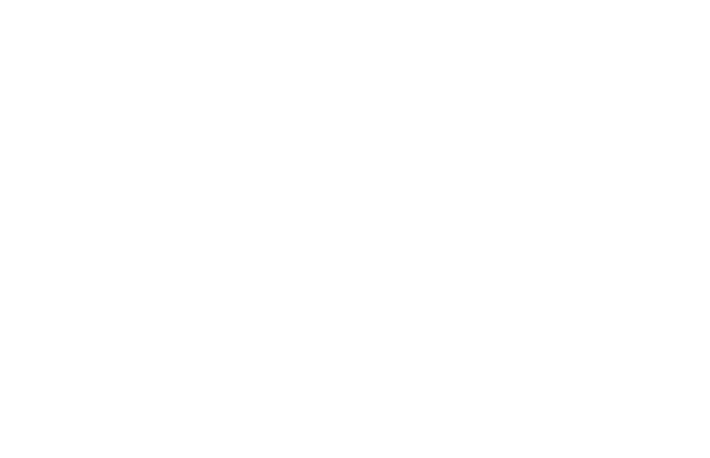 exanimo logo reverse