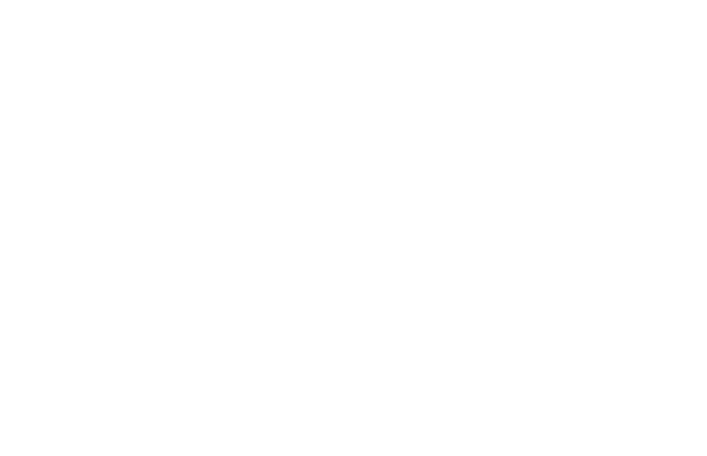 hippie snacks logo reverse