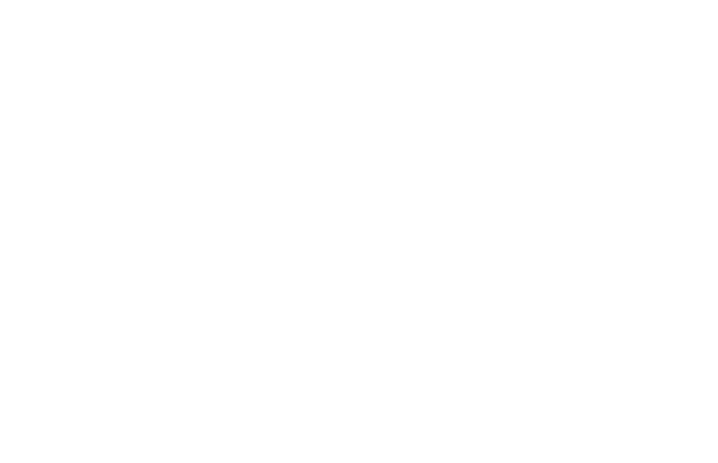regency fireplace logo reverse
