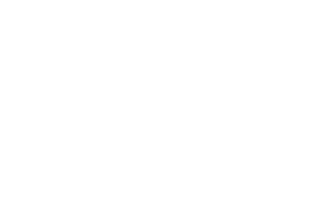 soldate logo reverse