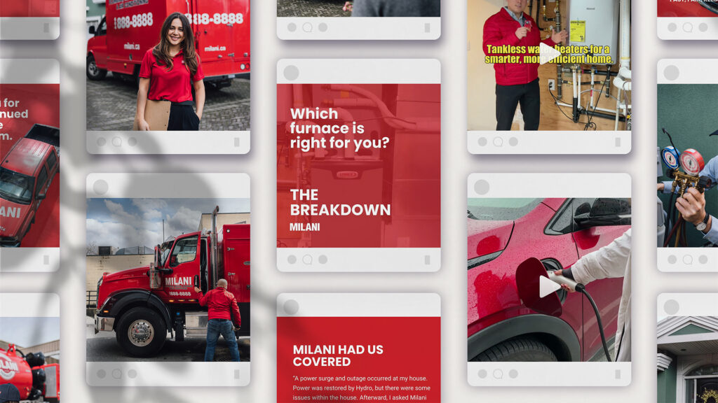 Milani Portfolio ImagesHorizontal Image 1