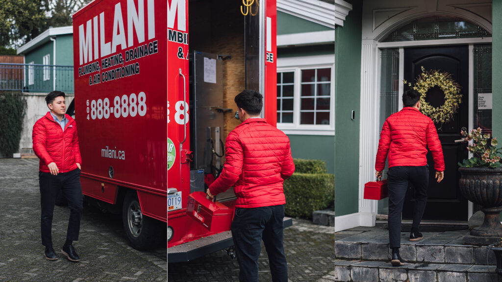 Milani Portfolio ImagesHorizontal Image 3